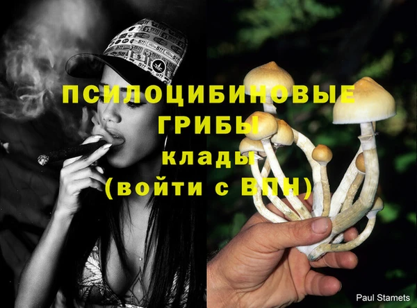 МДПВ Ступино